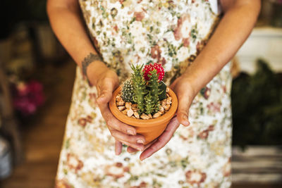 Mature female florist holding succulent plant in flower shop