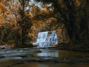 Scenic view of waterfall against trees