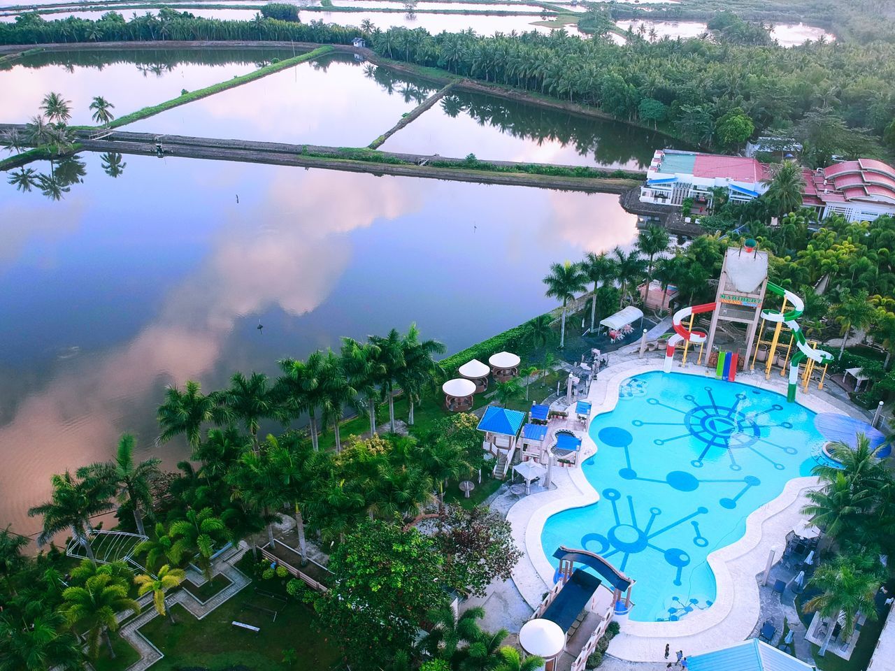 HIGH ANGLE VIEW OF SWIMMING POOL AGAINST TREES