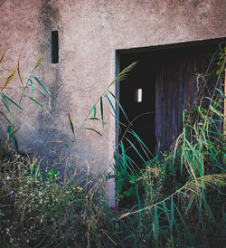 Abandoned building seen through window