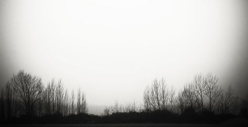 Bare trees against sky