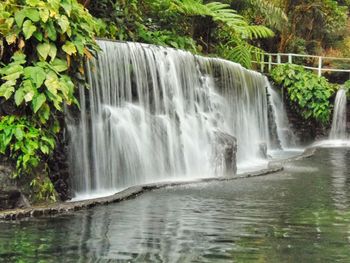 Scenic view of waterfall in forest