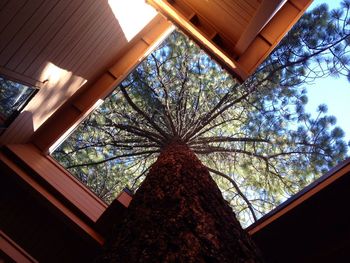 Low angle view of built structure