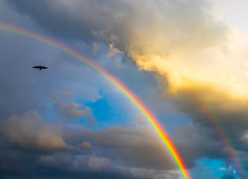 Low angle view of rainbow in sky