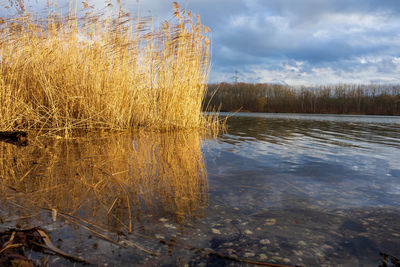 Scenic view of lake against sky