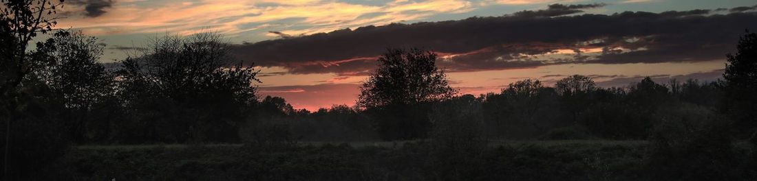 Silhouette trees on field against sky at sunset