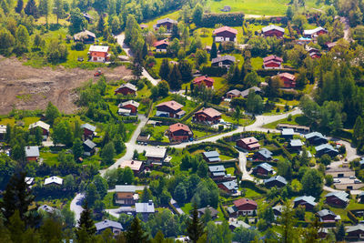 High angle view of trees and houses in city