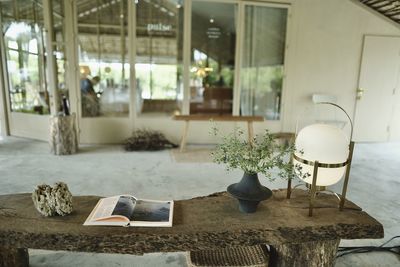 Potted plants on table by window