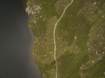 High angle view of trees by sea