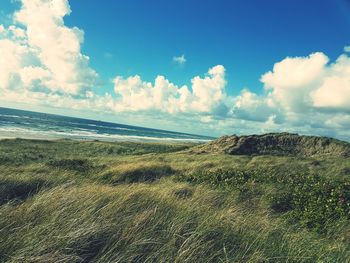 Scenic view of grass blowing next to sea against cloudy sky