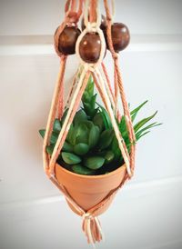 Close-up of potted plant on table at home