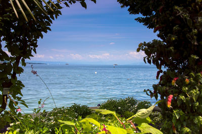 Scenic view of sea against sky seen through trees