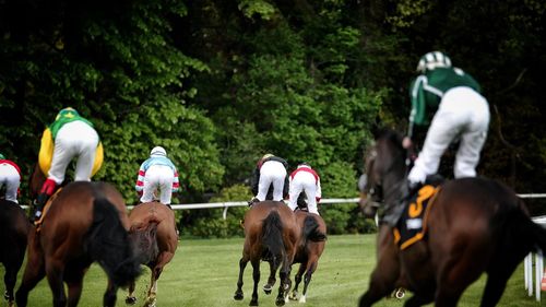 Horses on field