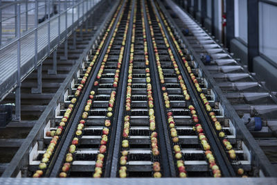 Apples in factory on conveyor belt