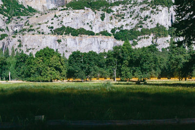 Scenic view of agricultural field