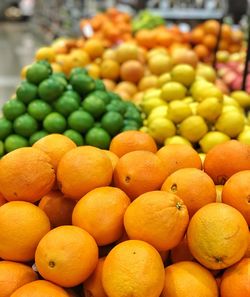 Citrus fruits for sale at market stall