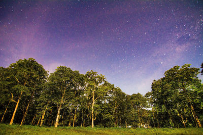 Low angle view of stars in sky