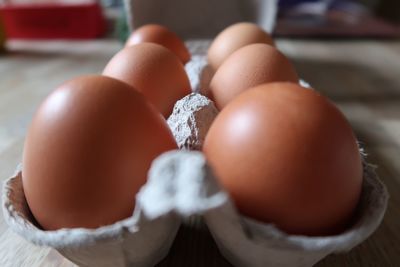 Close-up of eggs on table