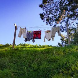 Clothes drying on field against sky