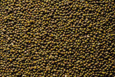 Full frame shot of green mung beans