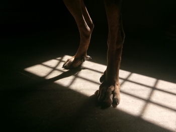 Low section of woman standing on floor