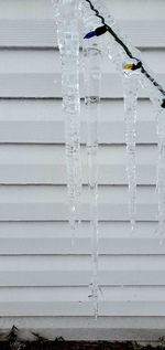 Close-up of icicles on wall