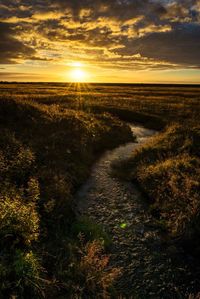 Scenic view of field against sky during sunset