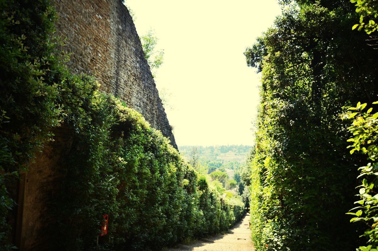 Bobli gardens