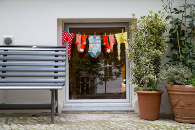 Laundry drying on window by potted plants