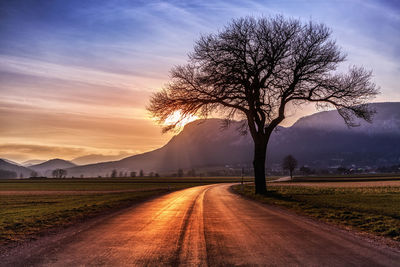 Road by bare trees on field against sky at sunset