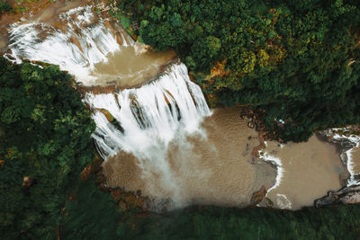 Scenic view of waterfall in forest