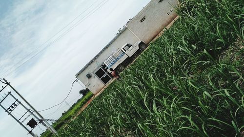 High angle view of plants on field against sky