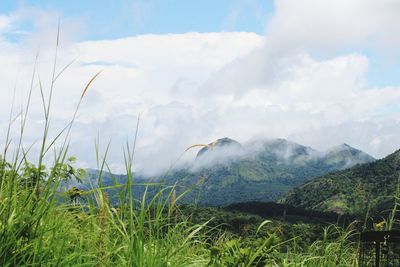 Clouded mountains in the morning