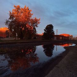 Reflection of built structures in water