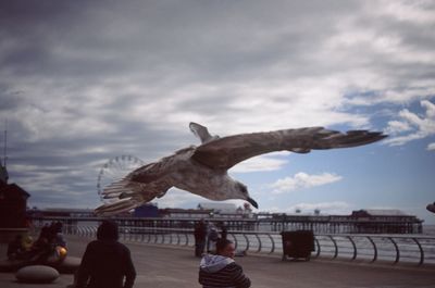 View of seagull statue on railing against cloudy sky