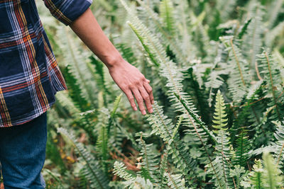 Cropped image of woman touching plants on field