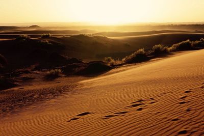 Scenic view of landscape at sunset