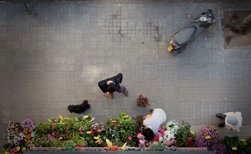 Directly above view of flower shop