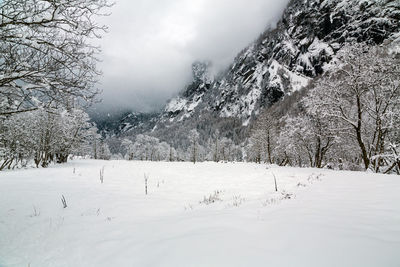 Scenic view of snow covered field