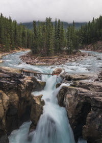 Stream flowing through rocks in forest