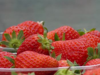 Close-up of strawberries