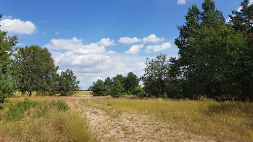 Trees on field against sky