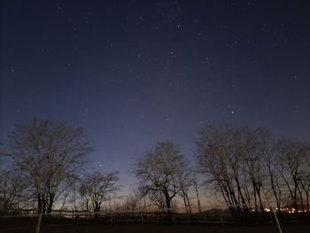 Bare tree on field against sky at night