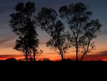 Silhouette trees on field against sky at sunset