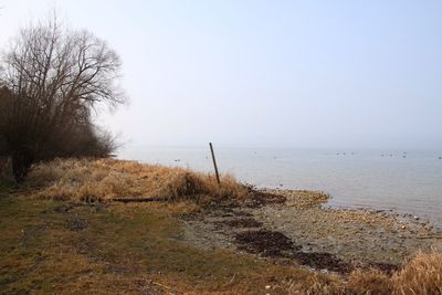 Scenic view of sea against clear sky