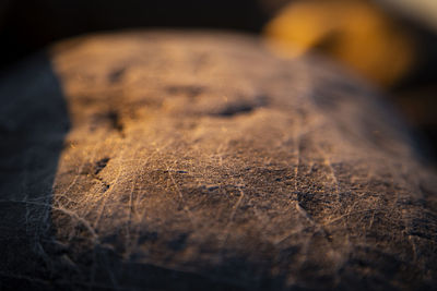 Close-up of dry leaf on wood