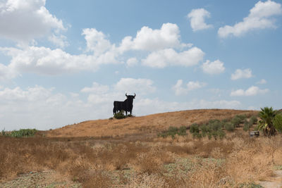 Horse on field against sky