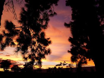 Silhouette trees against dramatic sky during sunset