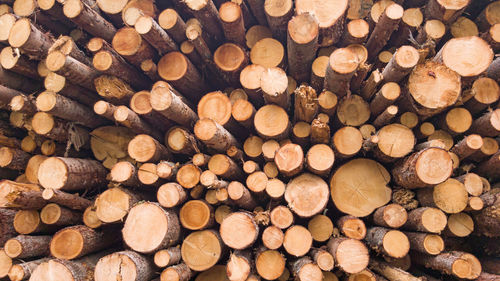 Full frame shot of logs