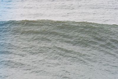 wind wave